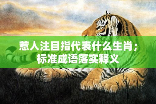 惹人注目指代表什么生肖；标准成语落实释义