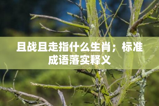 且战且走指什么生肖；标准成语落实释义