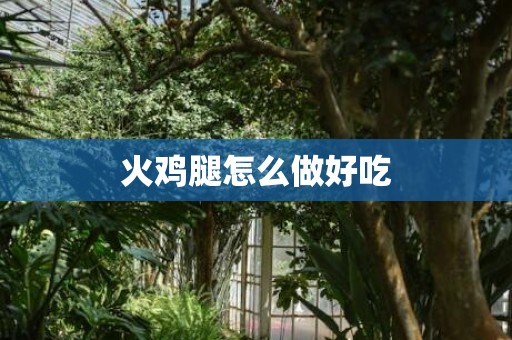 火鸡腿怎么做好吃