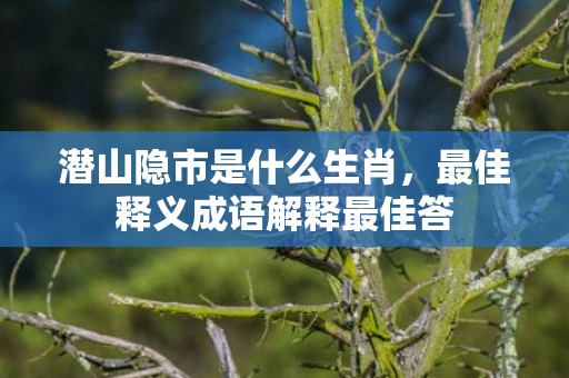 潜山隐市是什么生肖，最佳释义成语解释最佳答