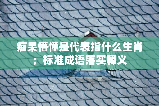 痴呆懵懂是代表指什么生肖；标准成语落实释义