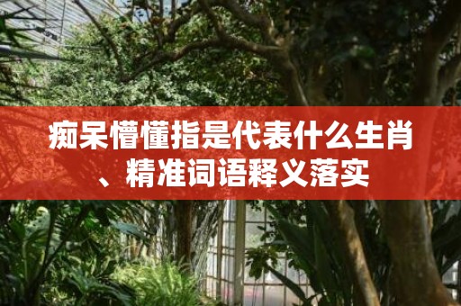 痴呆懵懂指是代表什么生肖、精准词语释义落实