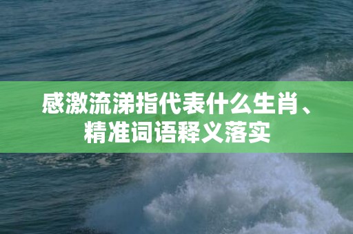 感激流涕指代表什么生肖、精准词语释义落实