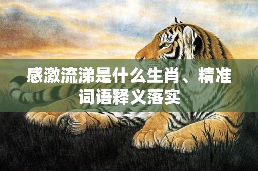 感激流涕是什么生肖、精准词语释义落实