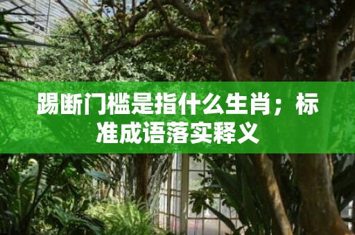 踢断门槛是指什么生肖；标准成语落实释义