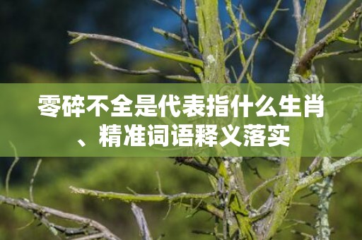 零碎不全是代表指什么生肖、精准词语释义落实