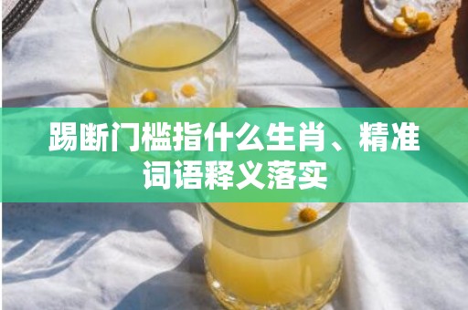 踢断门槛指什么生肖、精准词语释义落实