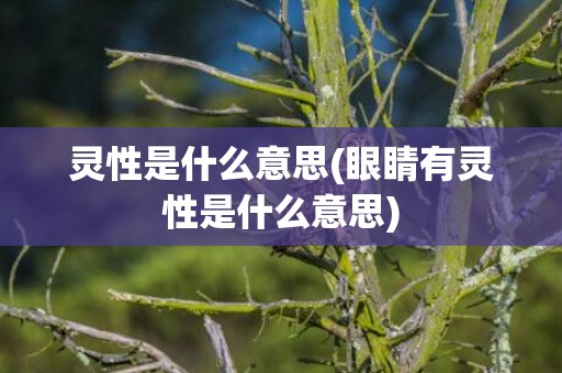 灵性是什么意思(眼睛有灵性是什么意思)