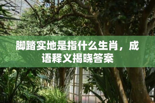 脚踏实地是指什么生肖，成语释义揭晓答案
