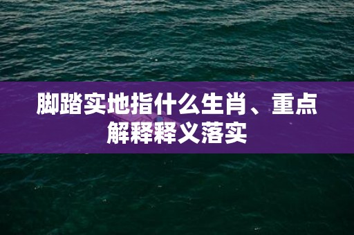 脚踏实地指什么生肖、重点解释释义落实