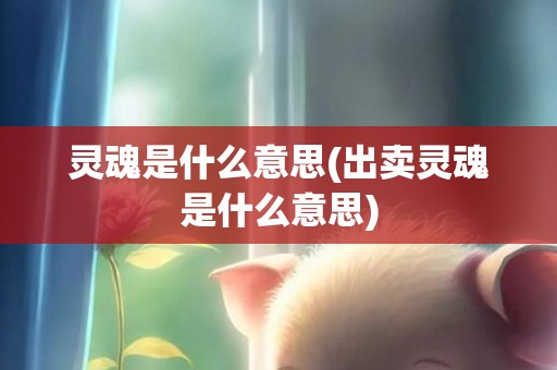 灵魂是什么意思(出卖灵魂是什么意思)
