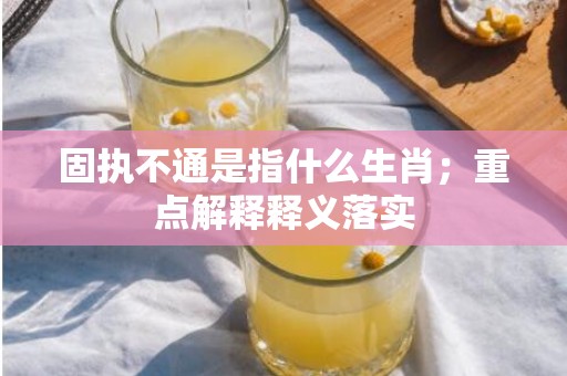 固执不通是指什么生肖；重点解释释义落实