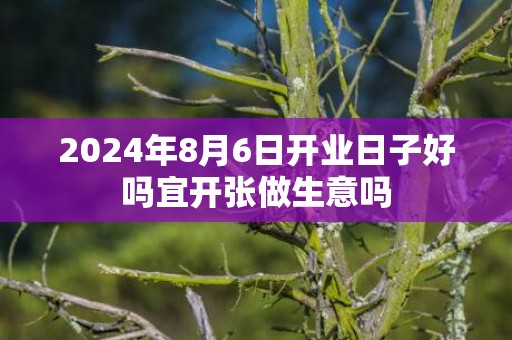 2024年8月6日开业日子好吗宜开张做生意吗