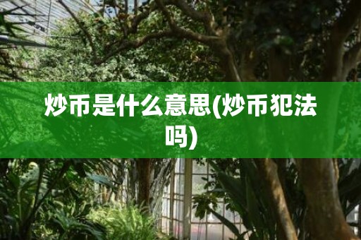 炒币是什么意思(炒币犯法吗)