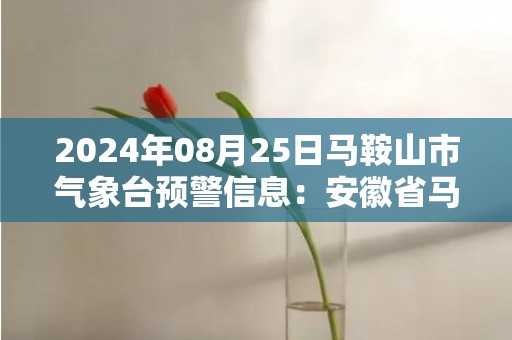 2024年08月25日马鞍山市气象台预警信息：安徽省马鞍山市更新高温黄色预警
