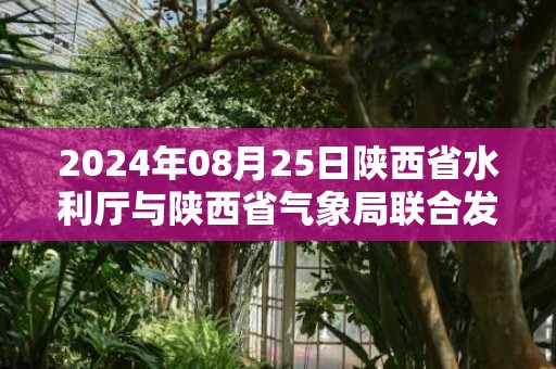 2024年08月25日陕西省水利厅与陕西省气象局联合发布山洪灾害气象预警：预计预警信息：陕西省发布山洪灾害黄色预警
