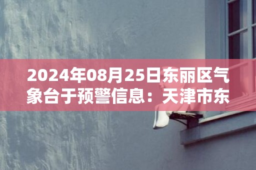 2024年08月25日东丽区气象台于预警信息：天津市东丽区更新暴雨黄色预警