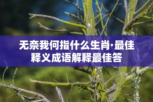 无奈我何指什么生肖·最佳释义成语解释最佳答