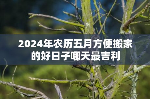 2024年农历五月方便搬家的好日子哪天最吉利
