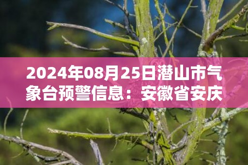 2024年08月25日潜山市气象台预警信息：安徽省安庆市潜山市更新高温橙色预警