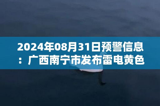 2024年08月31日预警信息：广西南宁市发布雷电黄色预警