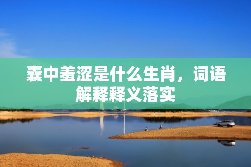 囊中羞涩是什么生肖，词语解释释义落实