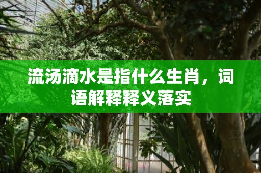 流汤滴水是指什么生肖，词语解释释义落实