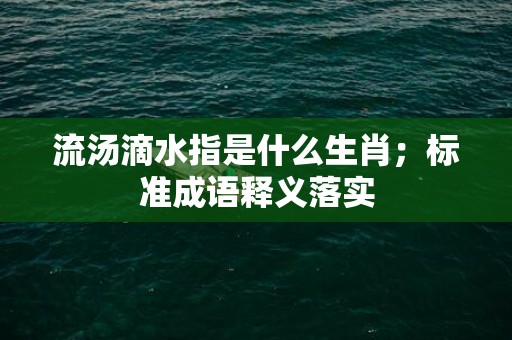 流汤滴水指是什么生肖；标准成语释义落实