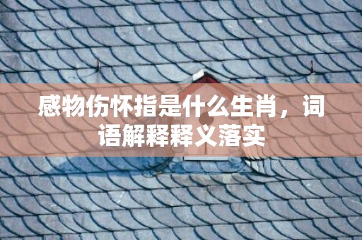 感物伤怀指是什么生肖，词语解释释义落实