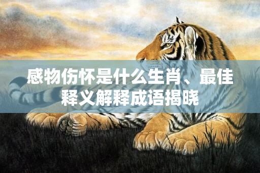 感物伤怀是什么生肖、最佳释义解释成语揭晓