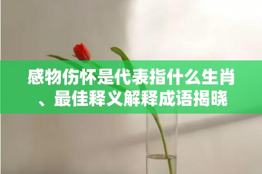 感物伤怀是代表指什么生肖、最佳释义解释成语揭晓