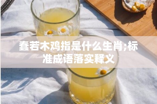 蠢若木鸡指是什么生肖;标准成语落实释义