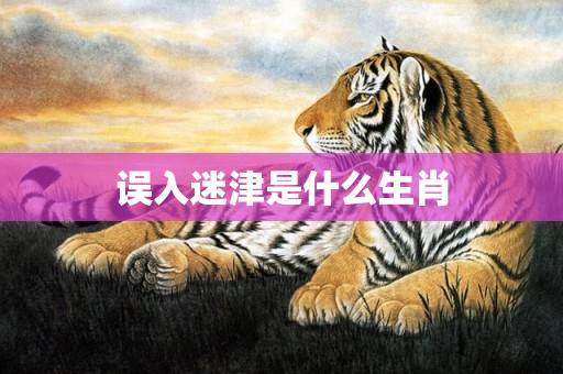 误入迷津是什么生肖