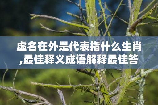 虚名在外是代表指什么生肖,最佳释义成语解释最佳答