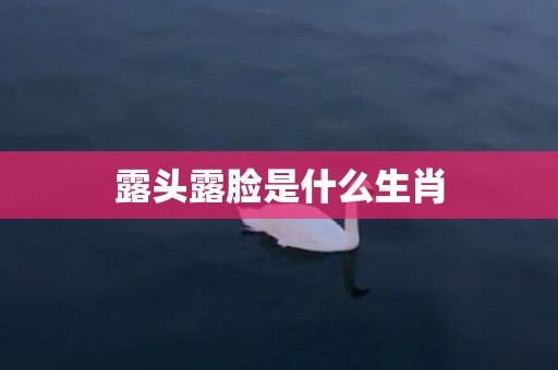 露头露脸是什么生肖