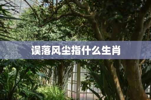 误落风尘指什么生肖