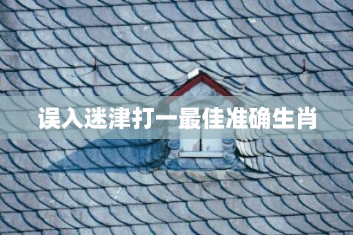 误入迷津打一最佳准确生肖