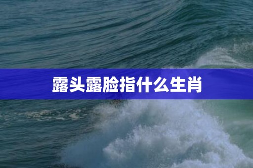 露头露脸指什么生肖