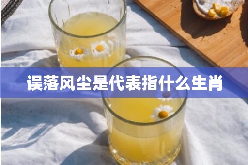 误落风尘是代表指什么生肖