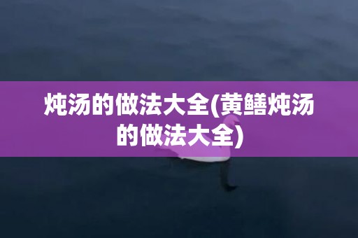 炖汤的做法大全(黄鳝炖汤的做法大全)