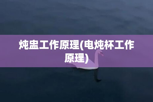 炖盅工作原理(电炖杯工作原理)
