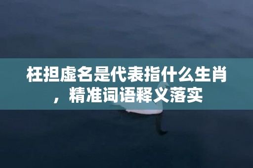 枉担虚名是代表指什么生肖，精准词语释义落实