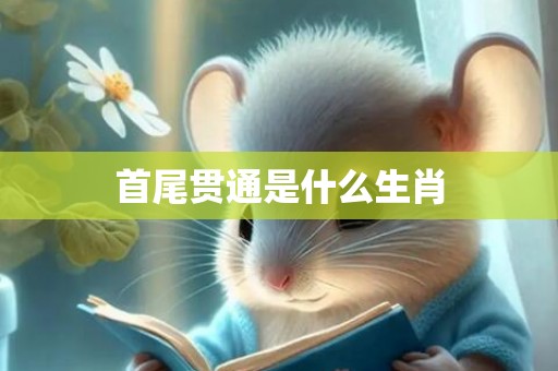 首尾贯通是什么生肖