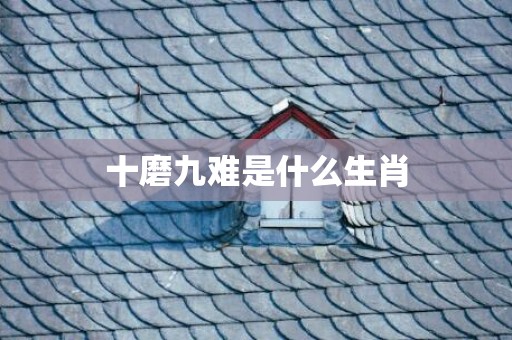 十磨九难是什么生肖