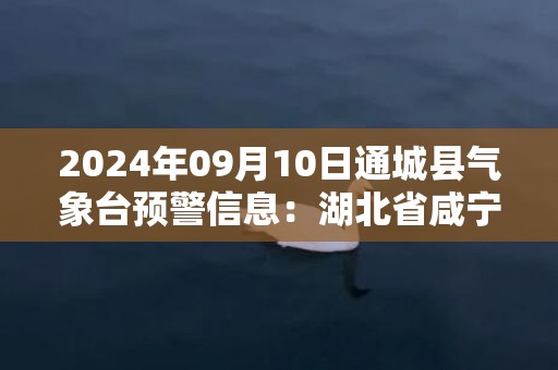 2024年09月10日通城县气象台预警信息：湖北省咸宁市通城县发布高温橙色预警