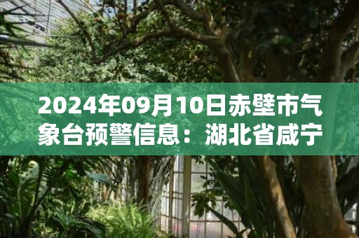 2024年09月10日赤壁市气象台预警信息：湖北省咸宁市赤壁市发布高温橙色预警
