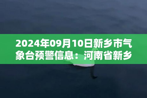 2024年09月10日新乡市气象台预警信息：河南省新乡市发布大风蓝色预警