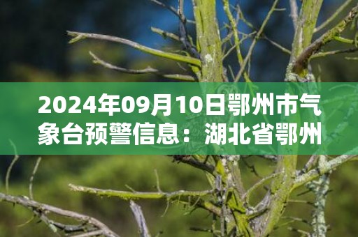 2024年09月10日鄂州市气象台预警信息：湖北省鄂州市发布高温橙色预警