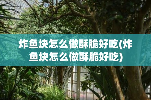 炸鱼块怎么做酥脆好吃(炸鱼块怎么做酥脆好吃)