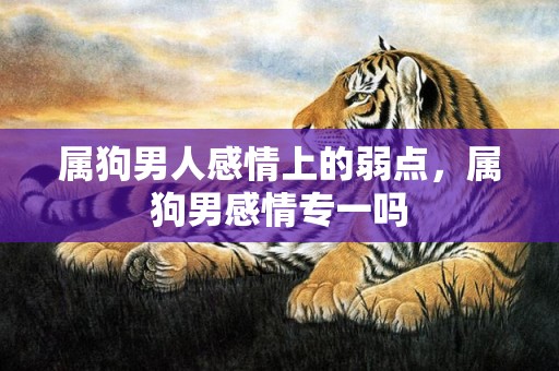 属狗男人感情上的弱点，属狗男感情专一吗